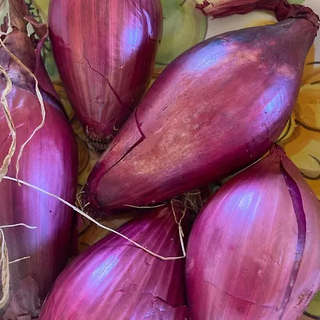 Casa San Rocco Guardavalle